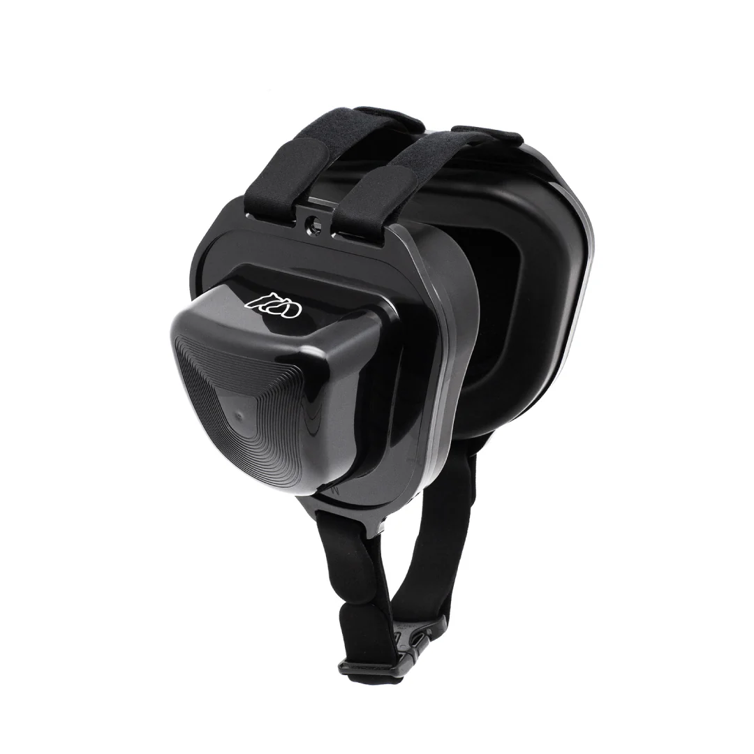 ���p�Չ��� �ʔ�