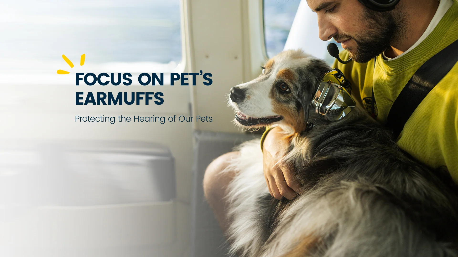 ���p�Չ��� �ʔ�