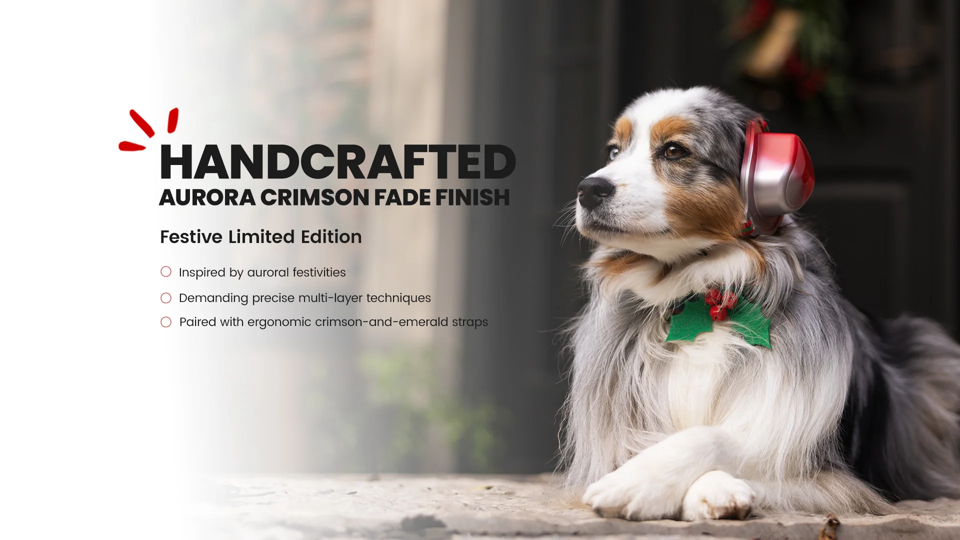 ���p�Չ��� �ʔ�